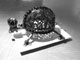 Tortue -(55x35x25 cm)-Avril 2008-