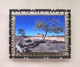 8-L'arbre seul-Exposition sur le Pays Dogon, en collaboration avec l'artiste Dominique Broise (photo)-Janvier 2013- 
