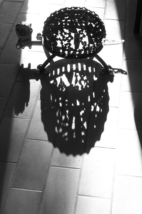 Tortue Ombres
